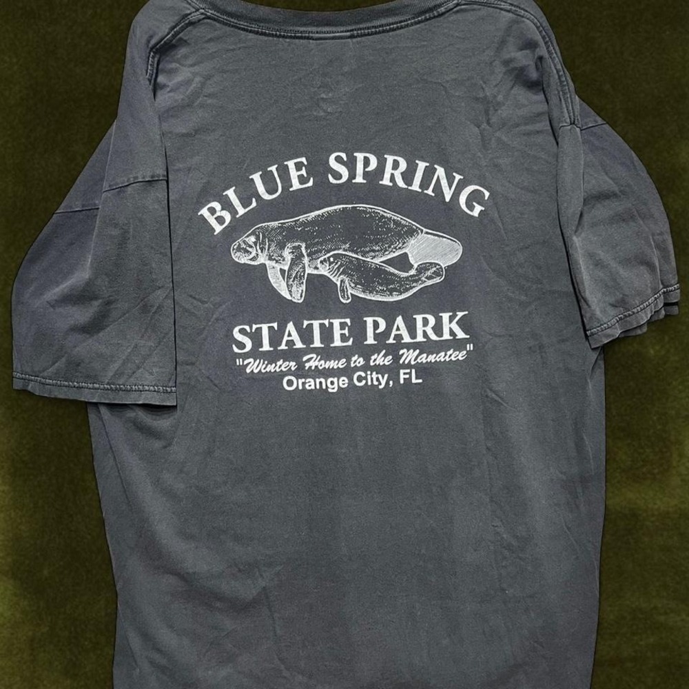 Vintage Blue Spring State Park Manatee T-Shirt Modern XL